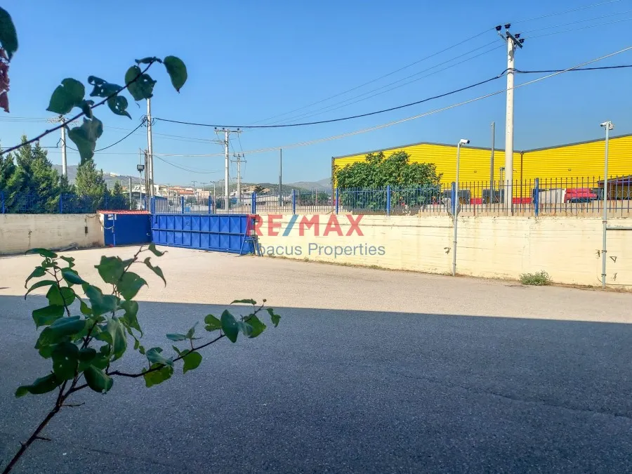 Garden - Industrial Space with Workshop in Mandra