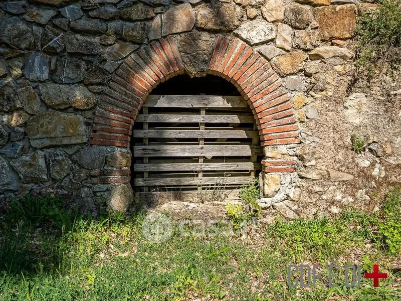 Giardino - Rustic Casale to Complete in Montieri