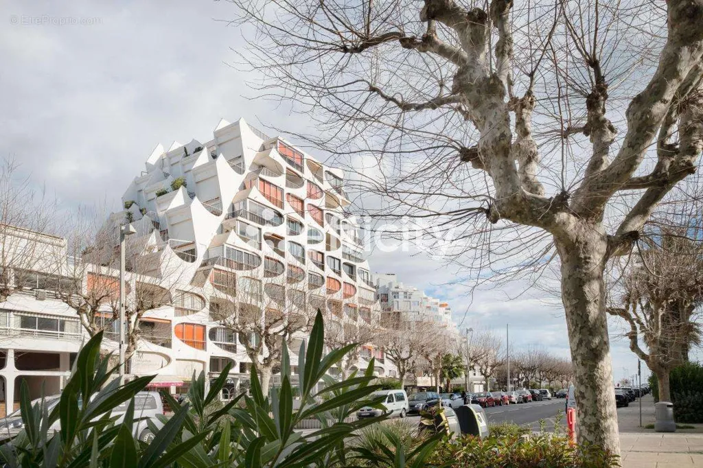 Extérieur - Studio avec Vue Port et Mer à La Grande-Motte