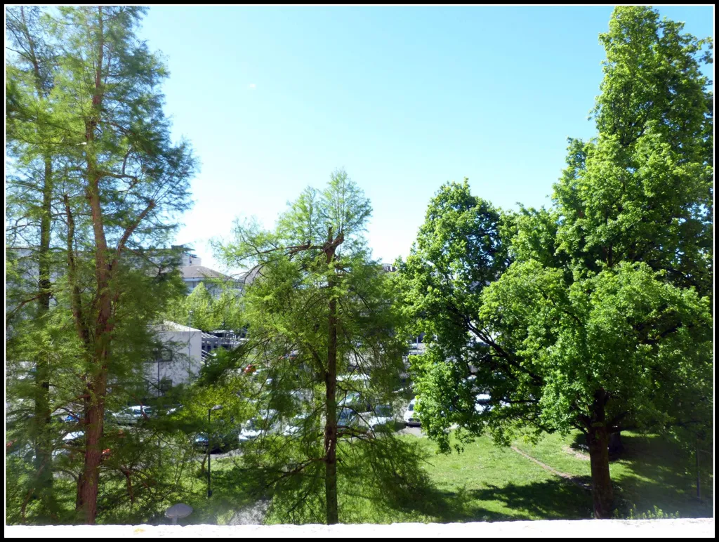 Jardin - Appartement T2 avec Balcon à Pau