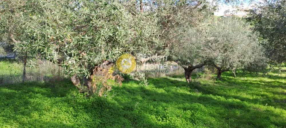 Jardin - Buildable Plot with Sea View in Elia