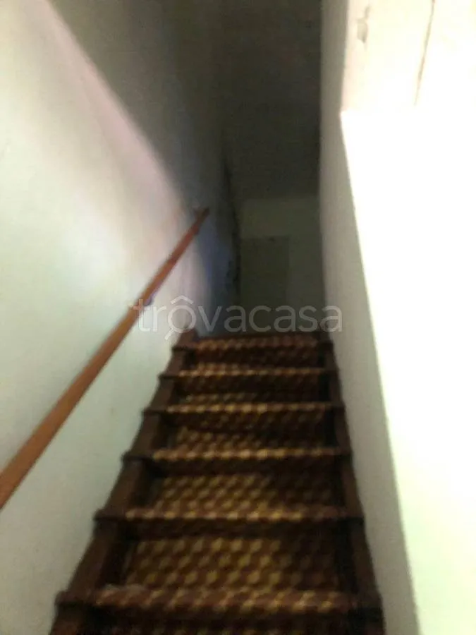 Toad - Independent House with Garden in Voghiera