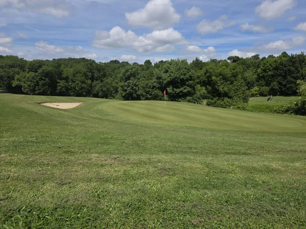 Aed - Charming Property with Golf Access in Dremil-Lafage
