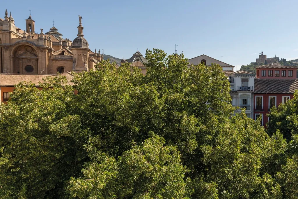 Aed - Apartment with Plaza Views in Granada Centre