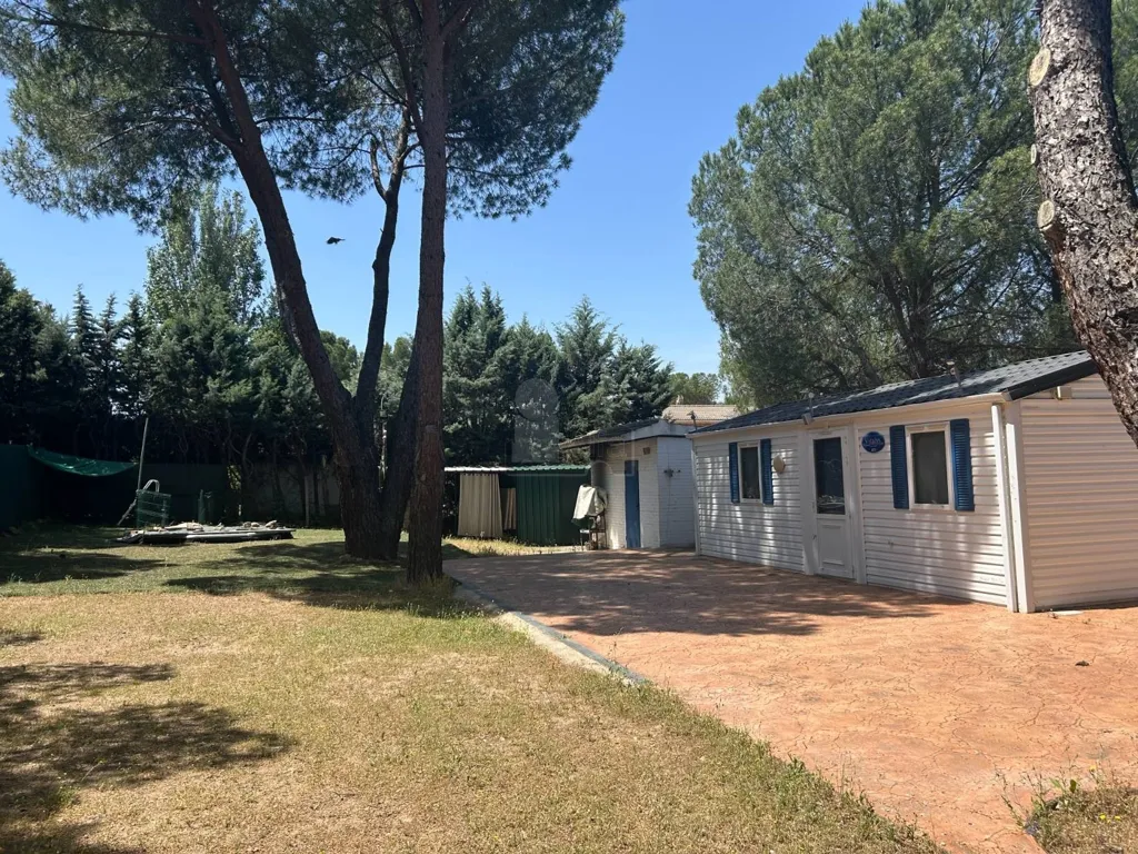 Jardin - Chalet with Pool in Navas del Rey