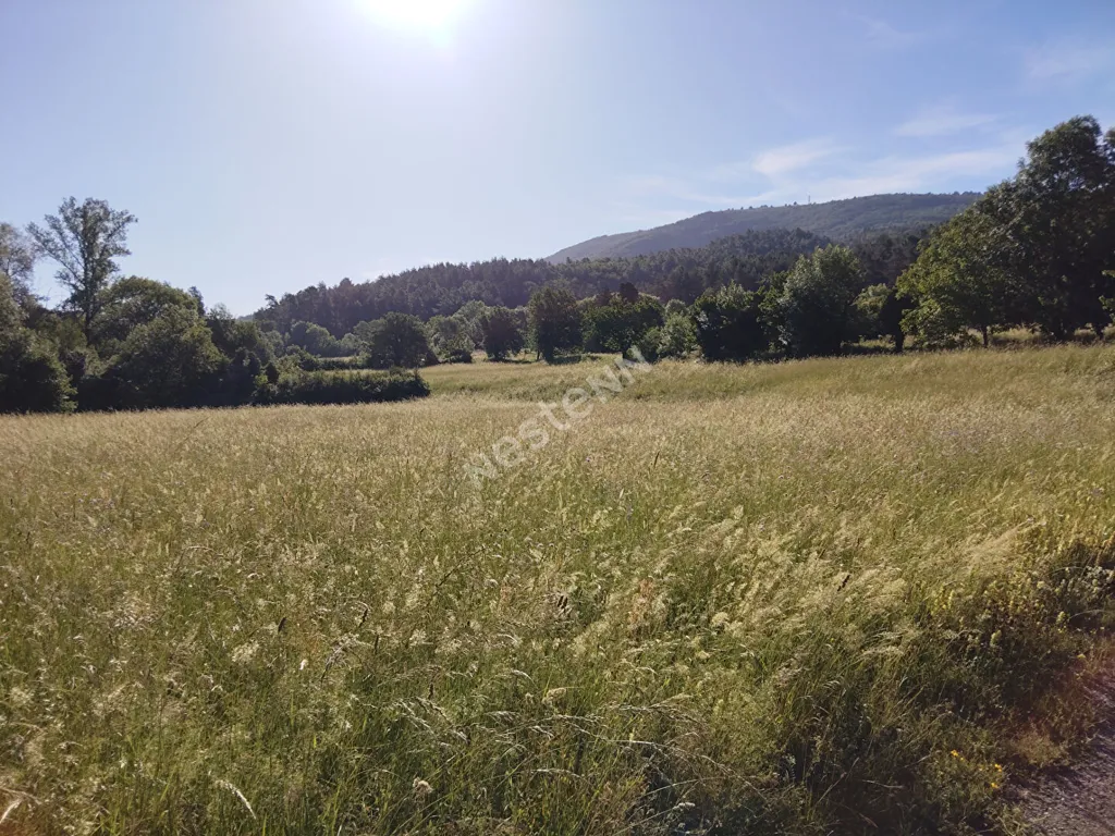Garden - Country House with Source in Saint-Vincent-de-Durfort