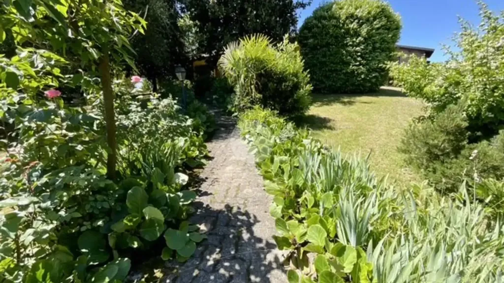 garden