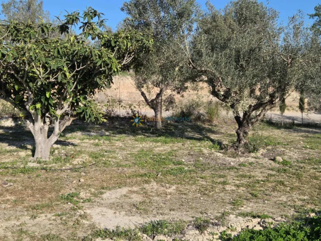 Aed - Plot with Two Buildings near L'Olleria