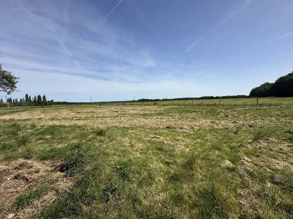 Jardin - Ferme de Caractère avec Terrain à Chauvigny