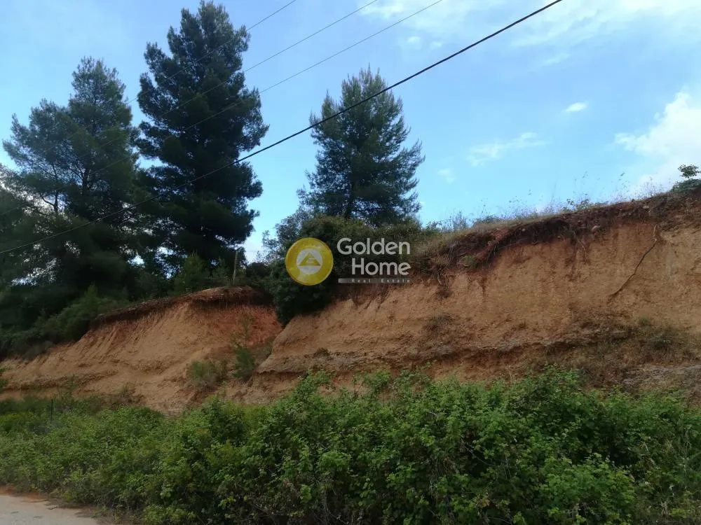 Aed - Buildable Plot with Sea View in Theologos