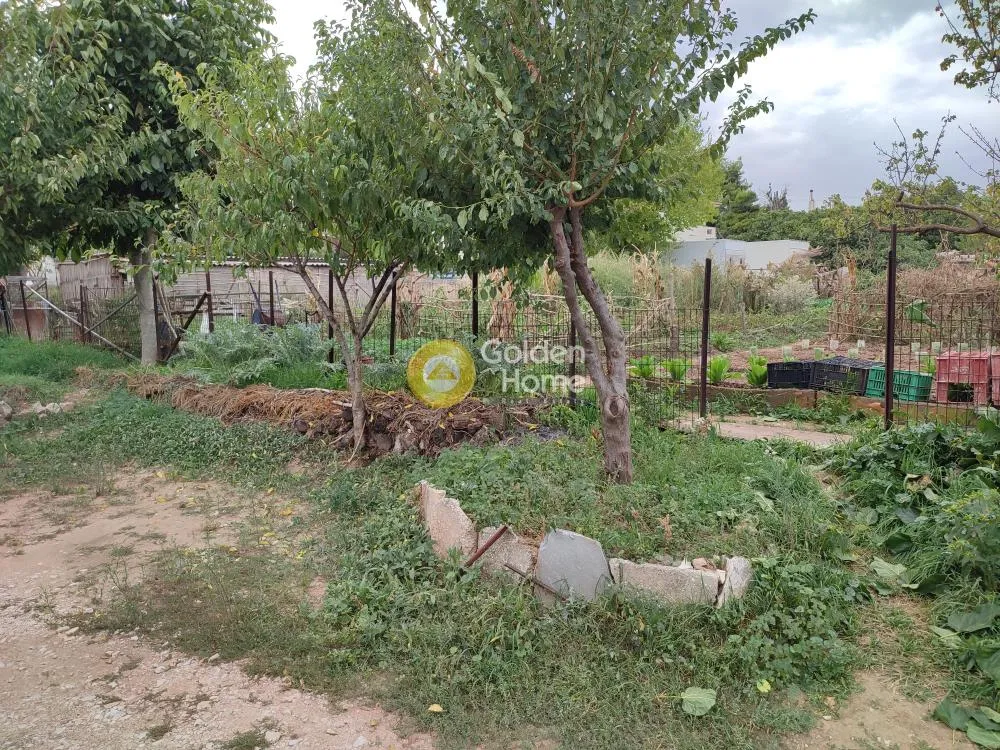 Jardin - Plot for Construction with Garden in Rodopoli, Athens