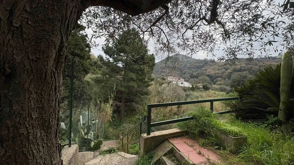 Aed - Independent House with Garden in Messina