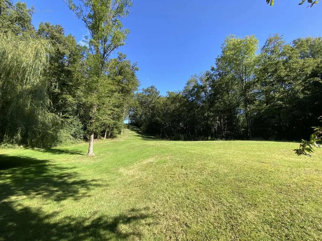 Jardin - Propriété Contemporaine avec Parc à 8 km de Châtellerault
