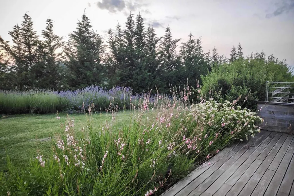 Jardin - Modern Villa with Pool and Spa near Parma