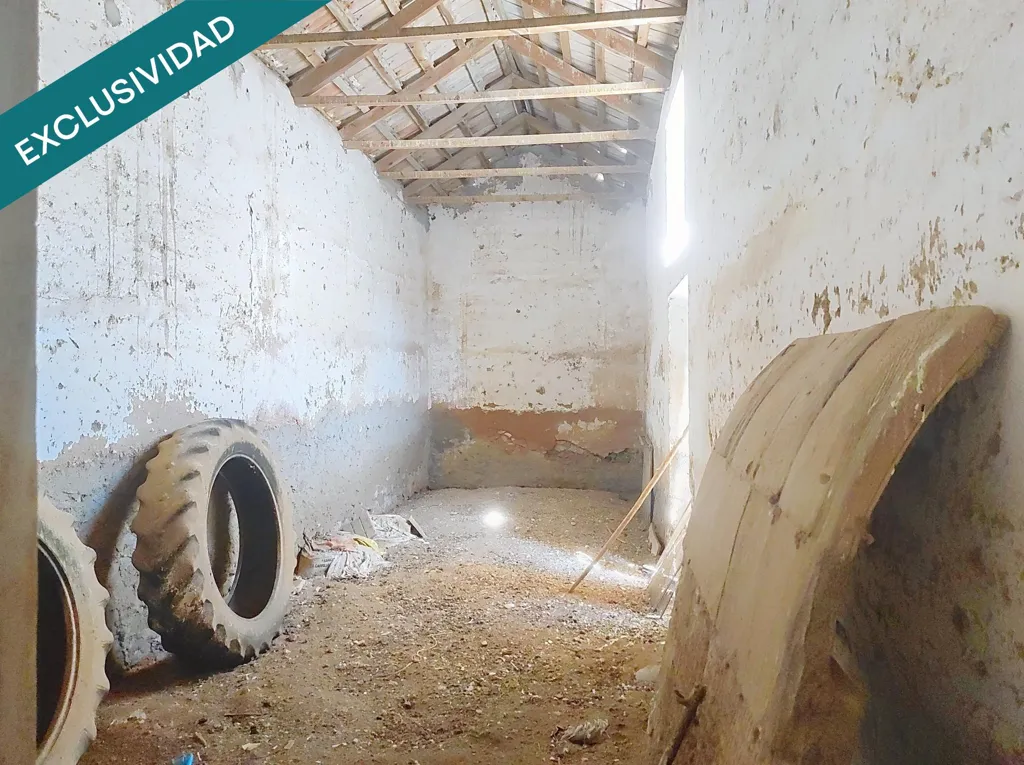 Toad - Detached House with Large Plot in Almagro