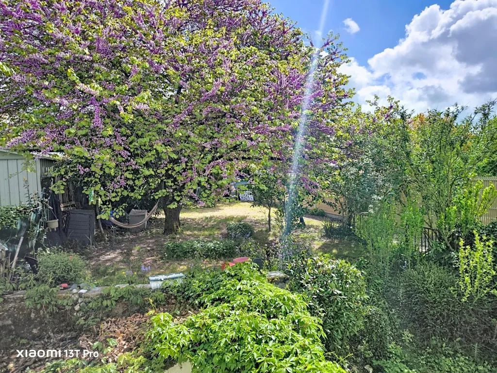 Garden - Charming House with Garden in Saint-Jean-d'Angély