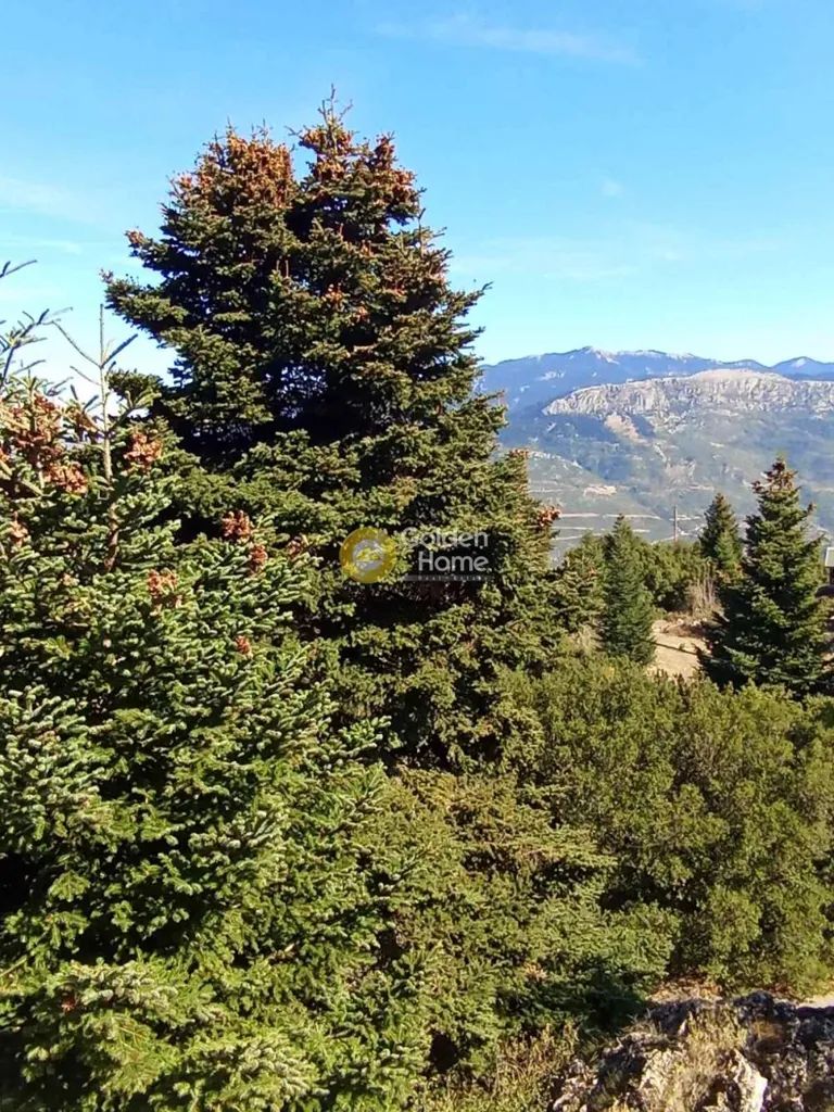 Villa with Mountain View in Amfissa
