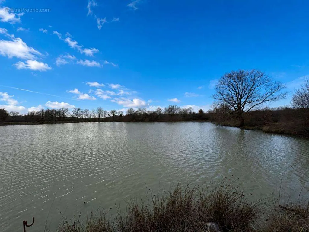 Terrain à Chateauroux