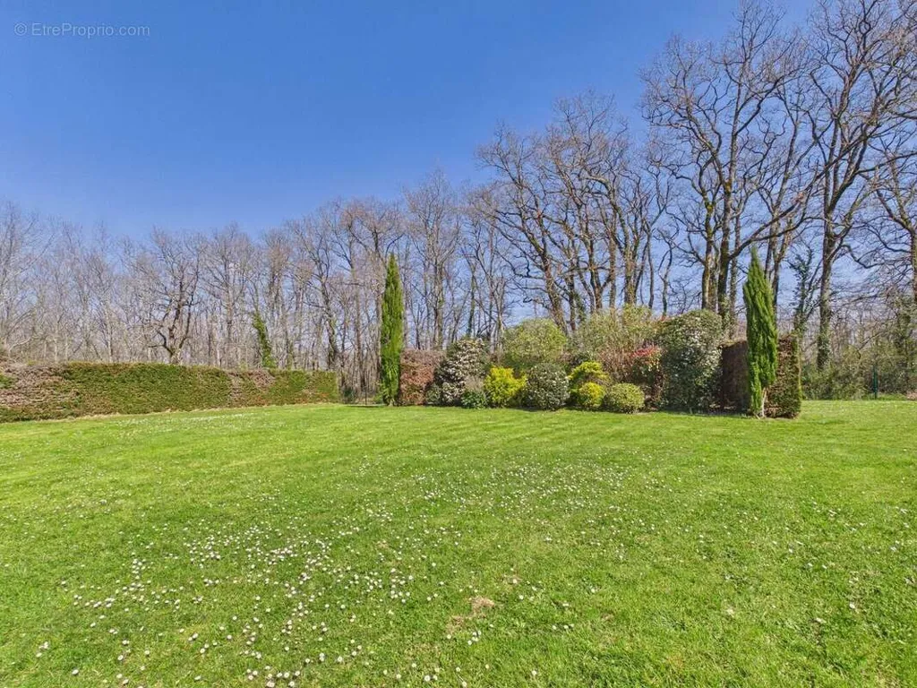 Jardin - Maison de Vigneron avec Piscine et Vue Panoramique à Lisle-sur-Tarn