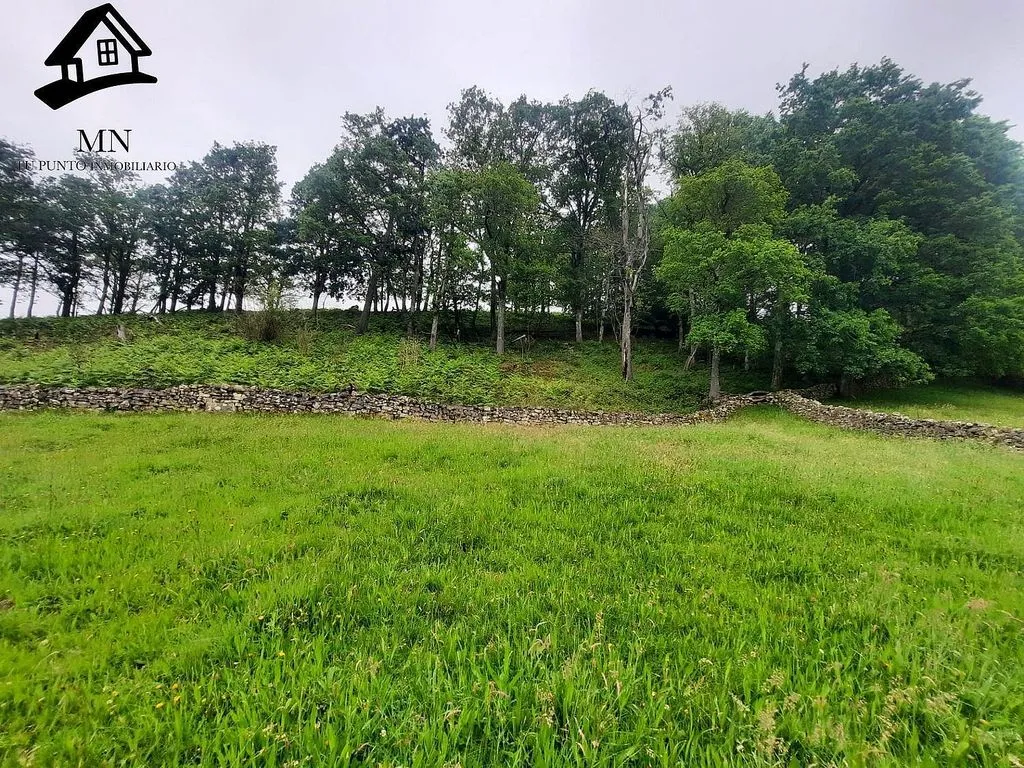 Jardin - Rustic Finca with Two Cottages in Valles Pasiegos