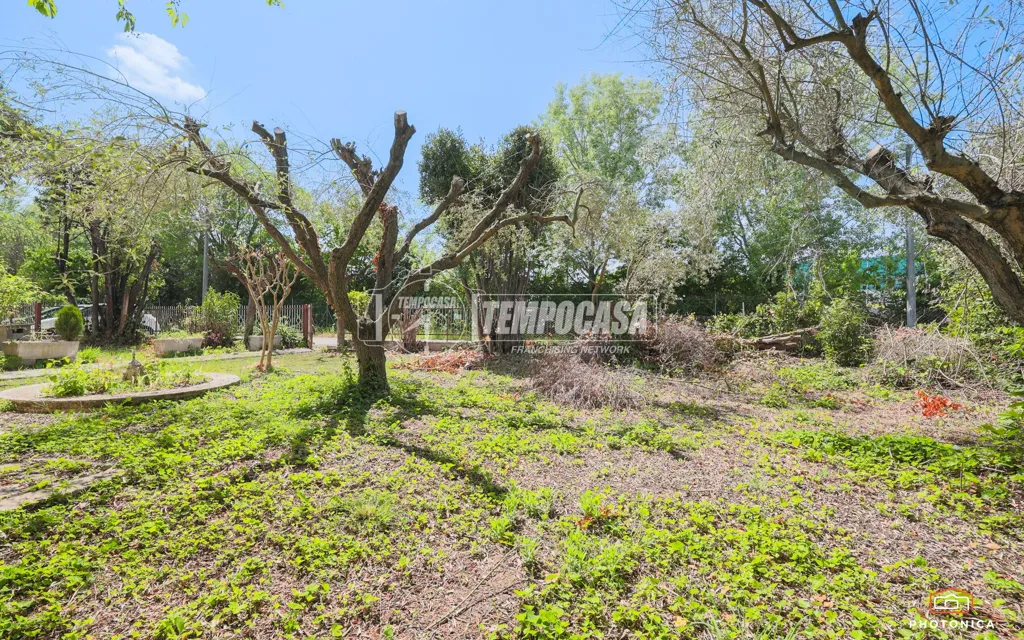 Jardin - Independent Villa with Large Garden in Rimini