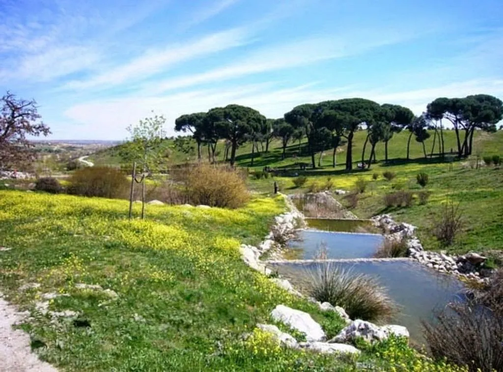 Detached Chalet with Garden in Valdebebas