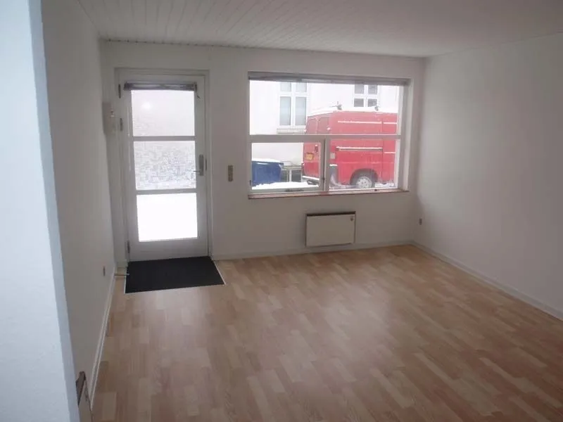 Toad - Renovated Studio with Kitchen, Ravnemøllevej