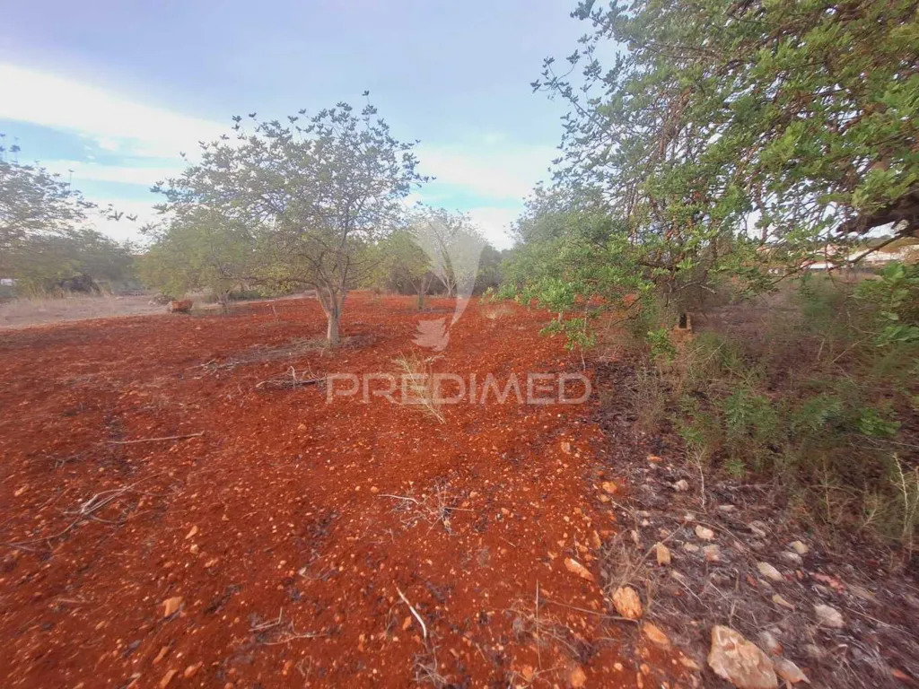Aed - Rustic Plot near National Road in Vale Judeu