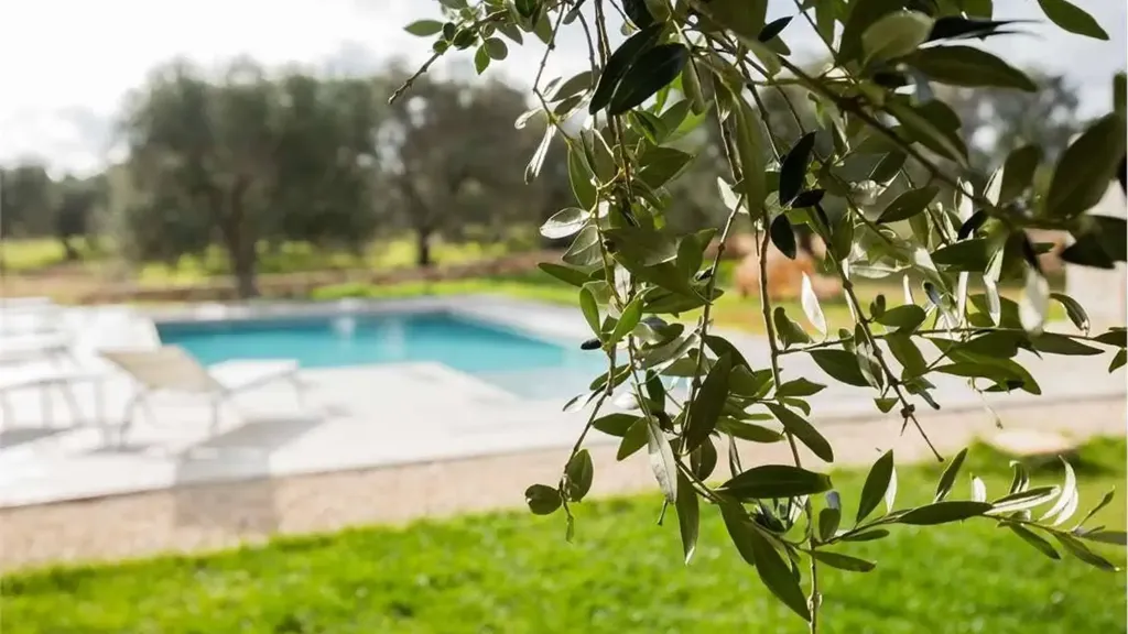 Bassein - Villa with 8 Bedrooms in Carovigno