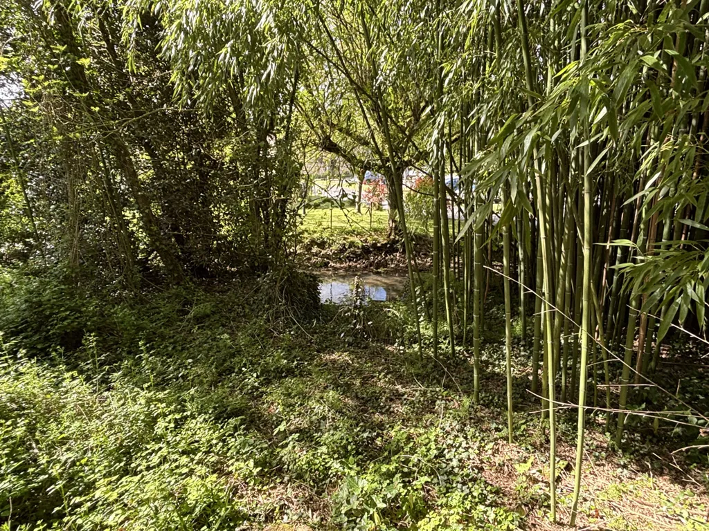 Aed - Character House with River Access in Vouillé