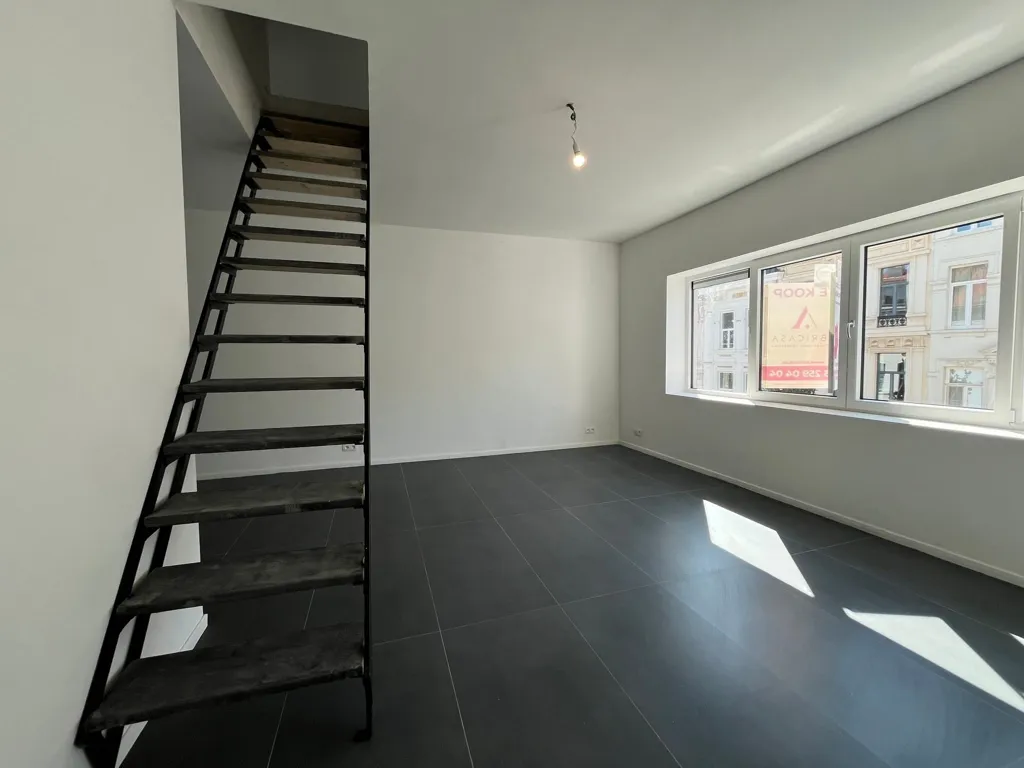 Toad - Fully Renovated Investment Property in Nice