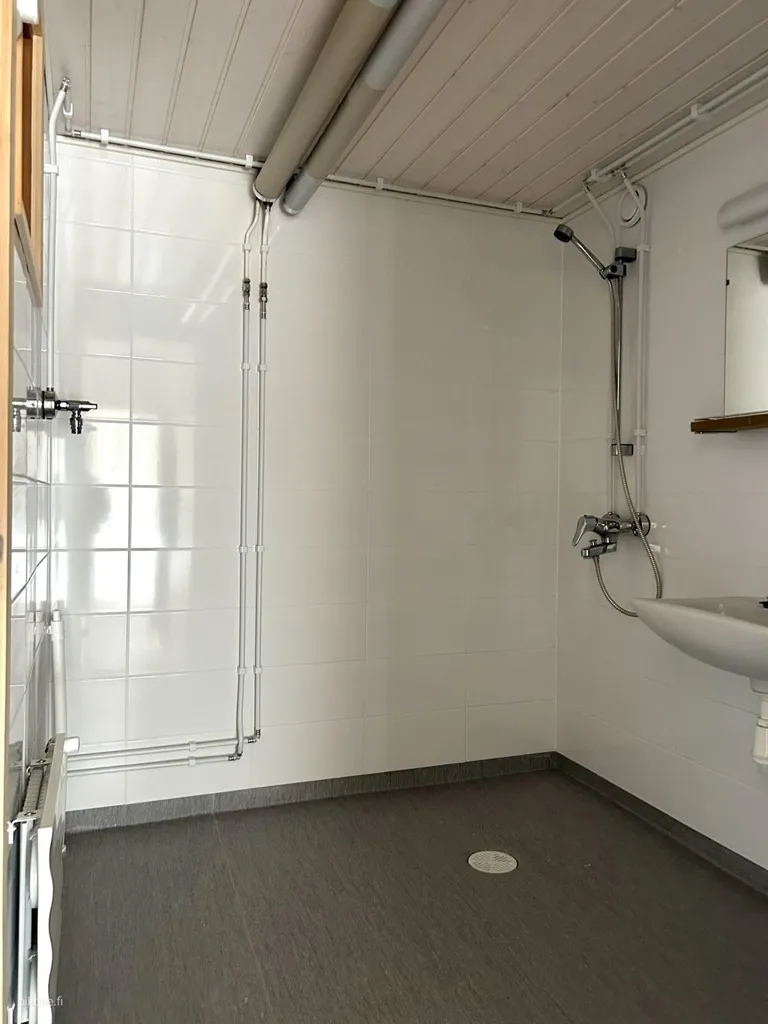 Vannitoad - Modernised Apartment with Sauna in Ollikkala, Salo