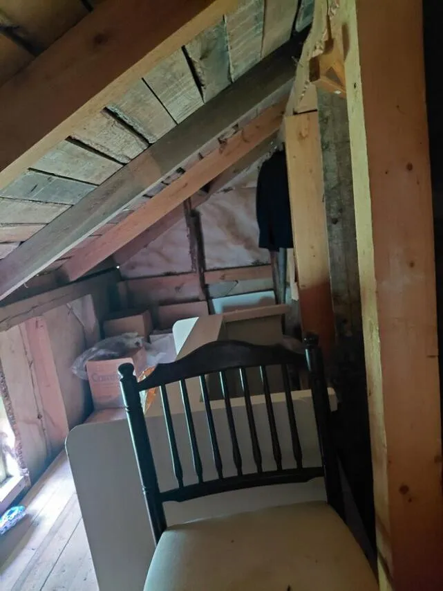 Toad - Flat for Sale with Garden in Pälkäne