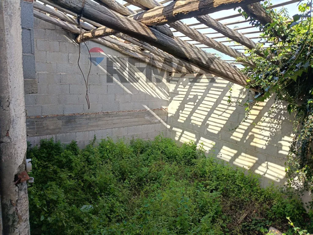 Jardin - Agricultural Estate with Lemon Grove in Mascali
