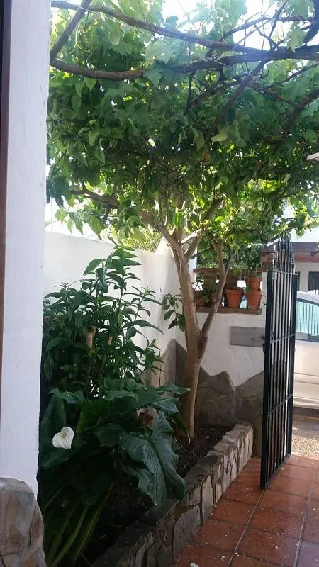 Aed - Terraced House with Pool on Ctra de La Playa