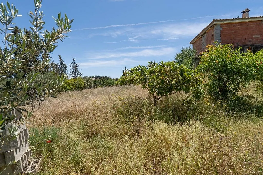 Jardin - Rustic Chalet with Terrace in Moraleda de Zafayona