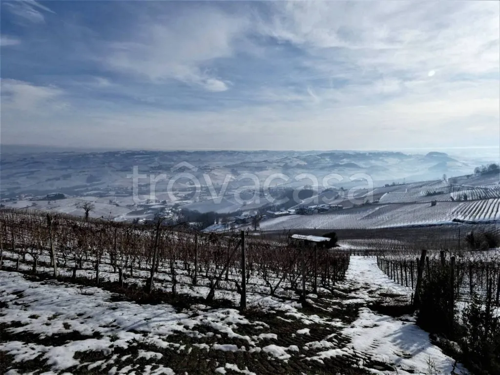 Terraced House with Panoramic Views in La Morra