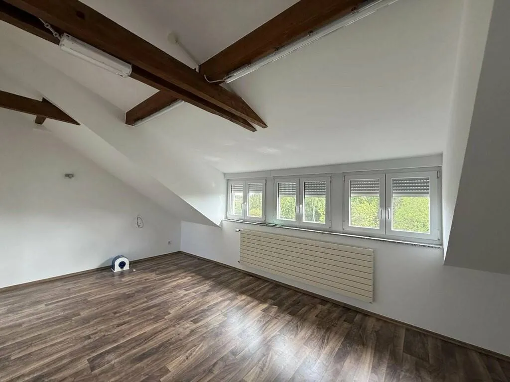Toad - 5-Bedroom House with Multiple Uses in Luxembourg
