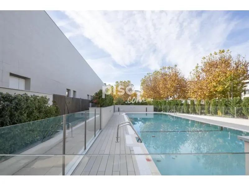 Piscine - Luxury Villa with Pool in Alcobendas