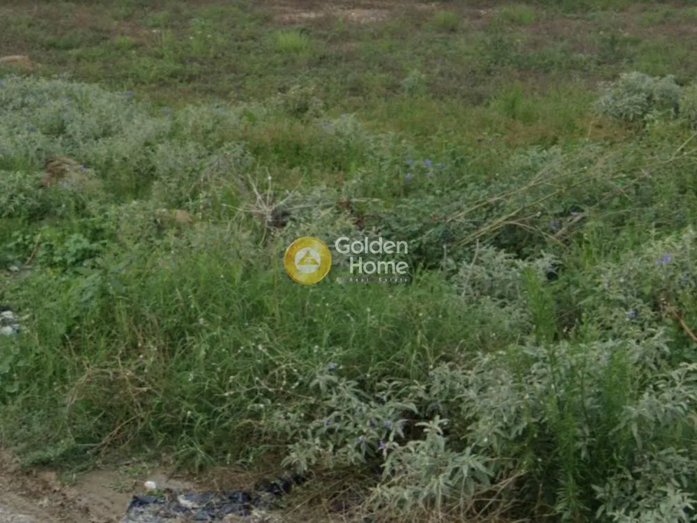 Garden - Agricultural Plot with Unrestricted View in Thermi