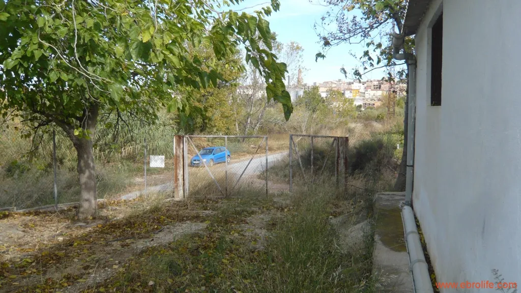 Jardin - Farm with Naves and Service House in Maella