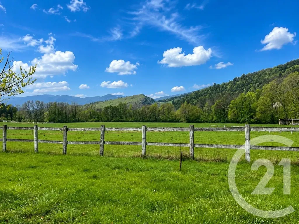 Garten - 10-Room House with Equestrian Facilities in Clumanc