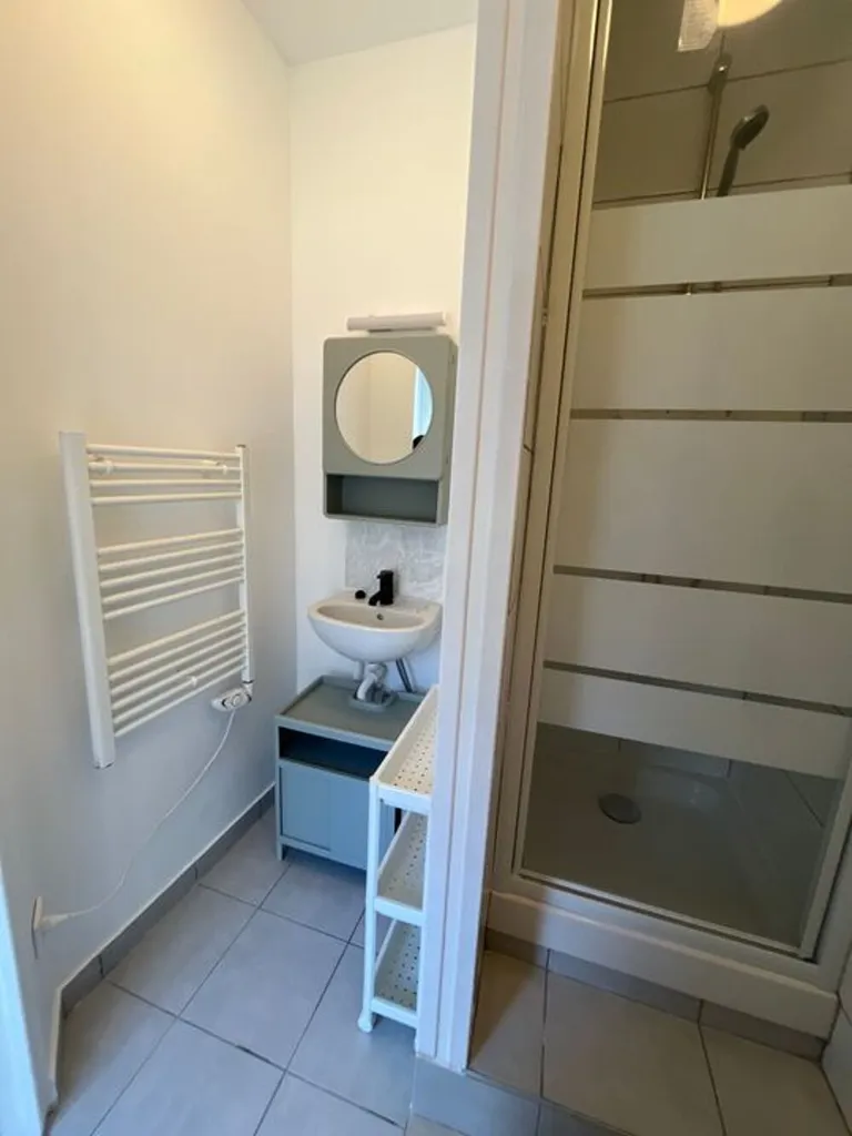 Bagni - Meubled 2-Bedroom House in Saint-Étienne