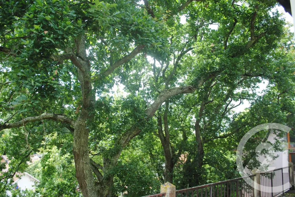 Aed - 1950s Villa with Garden in Arcachon