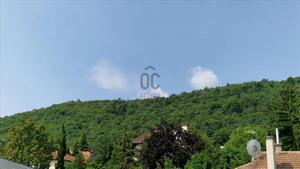 Aed - Luxury Duplex with Garden in Budapest III