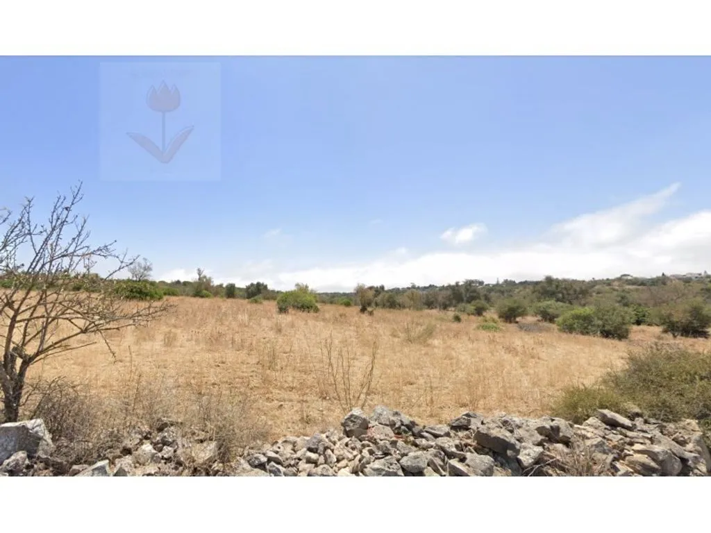 land_plot