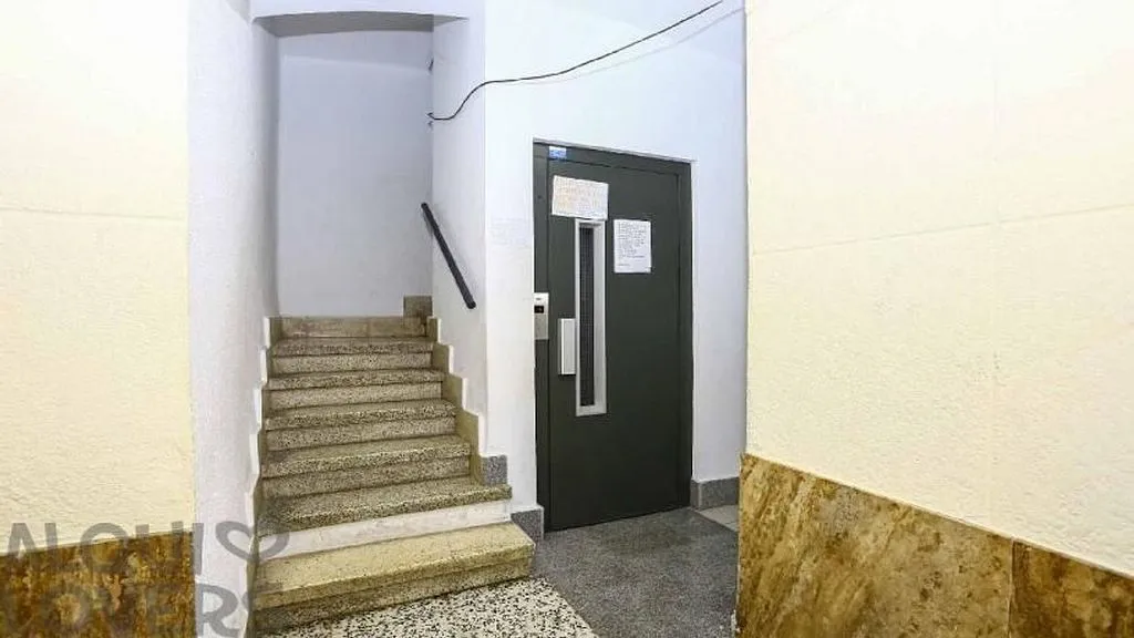 Toad - Rental Flat in Central Valencia