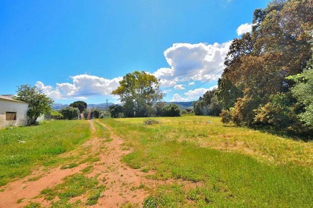 Garden - Rustic Finca with Garden near Ronda