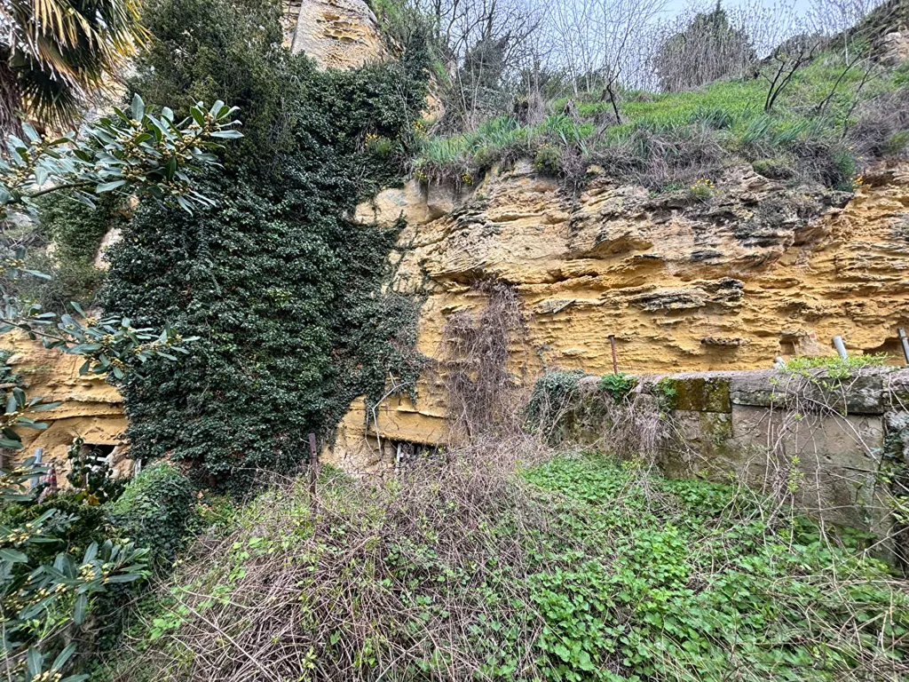 Jardin - Deux Logements à Réhabiliter dans le Centre de Chinon