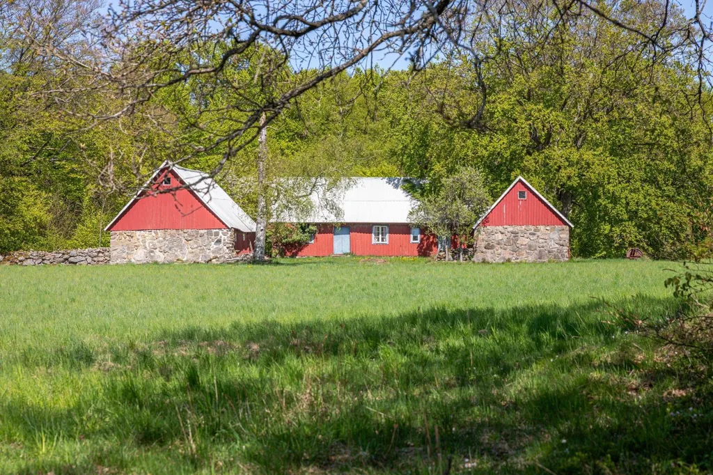 Extérieur - Charming Farm with Woodland near Hjärnarp